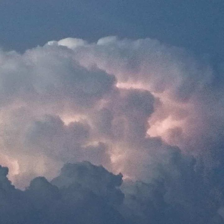 Pam Sammarco Web Image 8