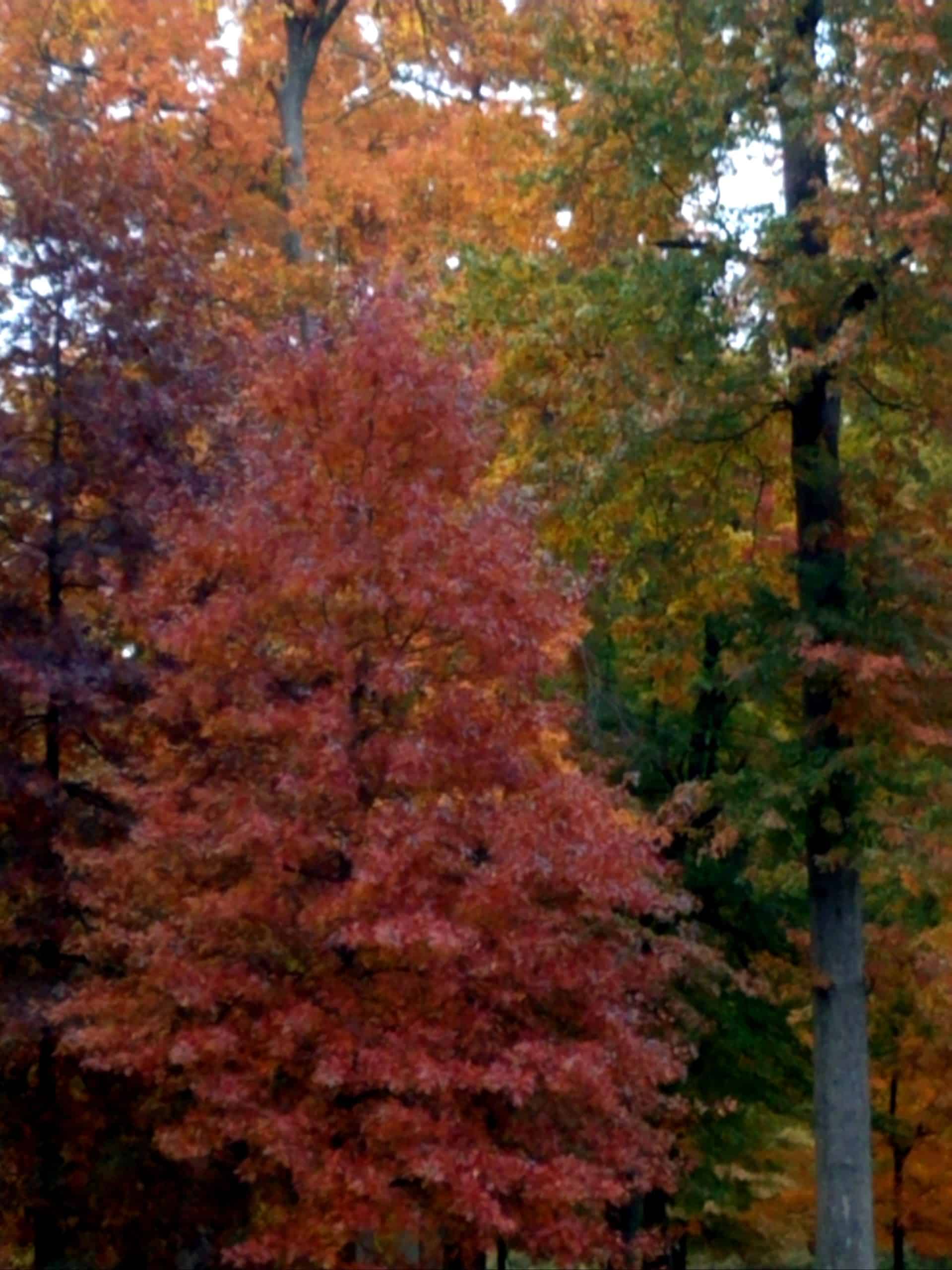 20181103_165454