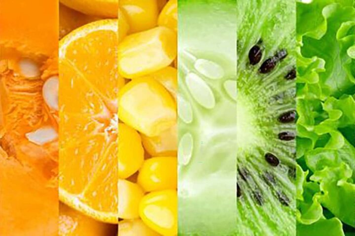 Depositphotos_62520347_xl-2015-770×256